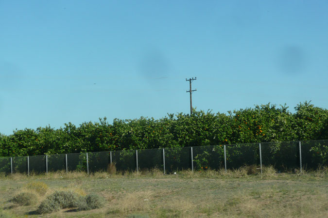 P1270790