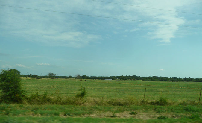 P1310944