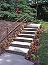 front_flowers