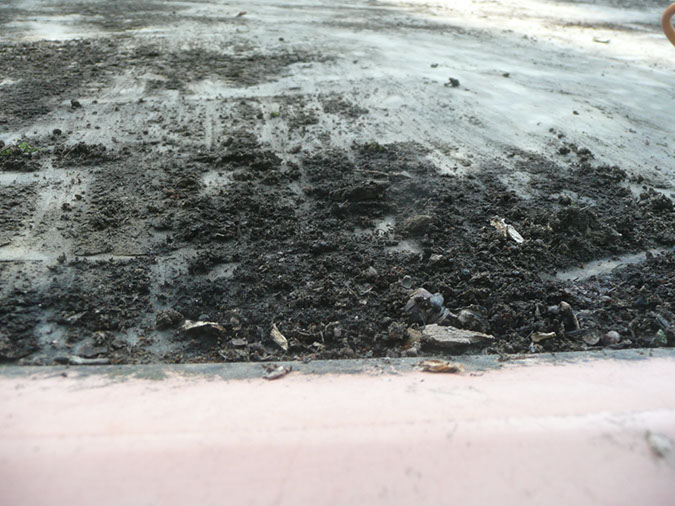 P1330422