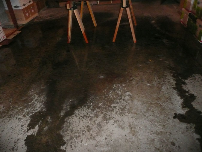 P1330517