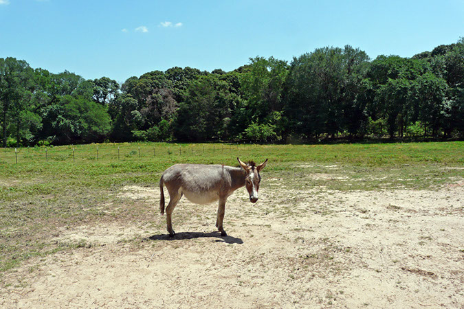 P1220608