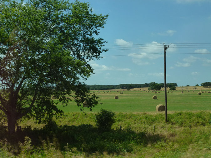 P1020308