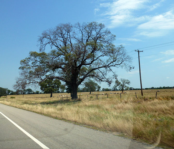 P1020362