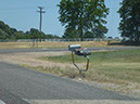 P1020409