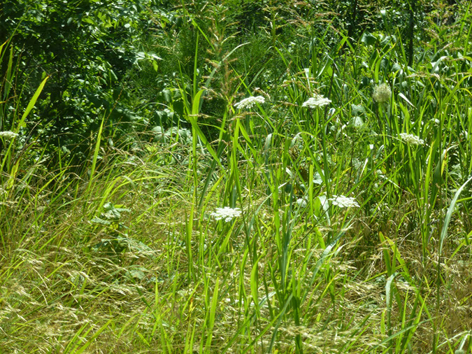 P1020570