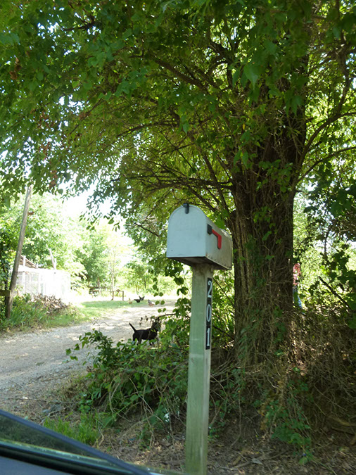 P1020574