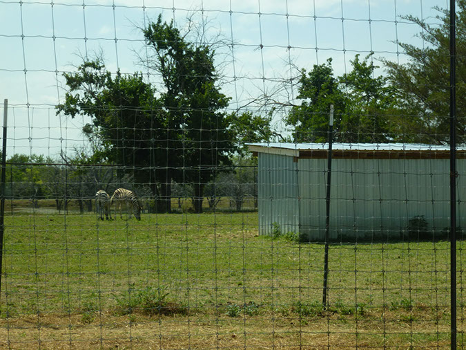 P1020593