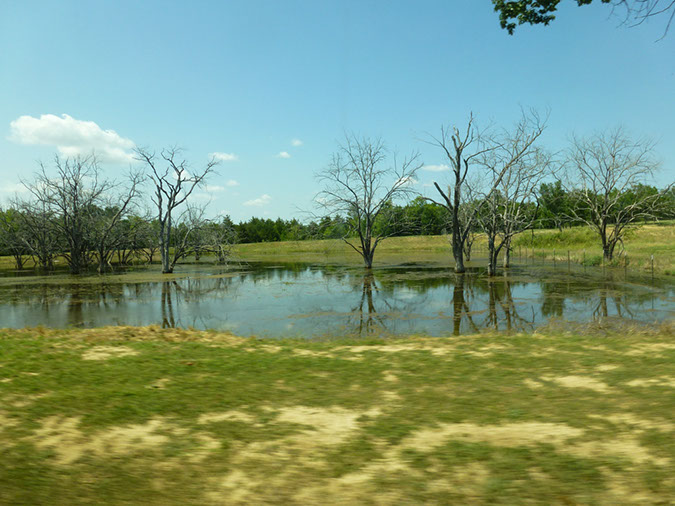 P1020597