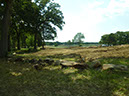 P1020663