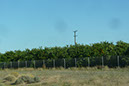 P1270790