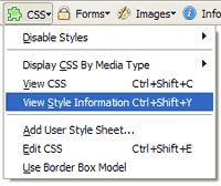Web Developer CSS View Style Info Menu