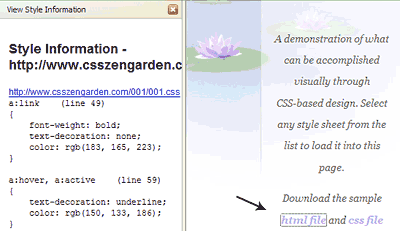 Web Developer CSS View Style Sidebar
