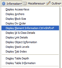 Web Developer Information Display Element Information