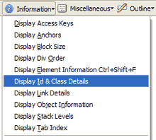 Web Developer Information Display ID and class details