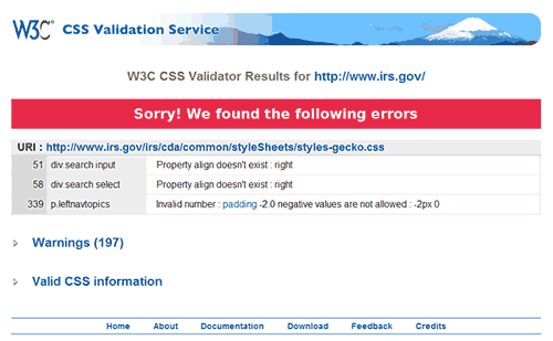 Web Developer Validation IRS Error Example