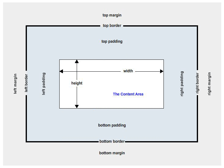 box model