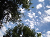 cloud