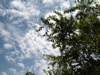 cloud