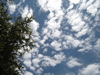 cloud
