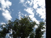 cloud