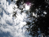 cloud