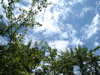 cloud