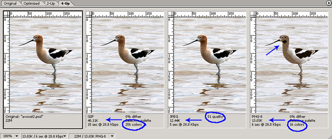 Image Optimization - JPG best choice