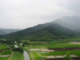 IMG_1368.jpg