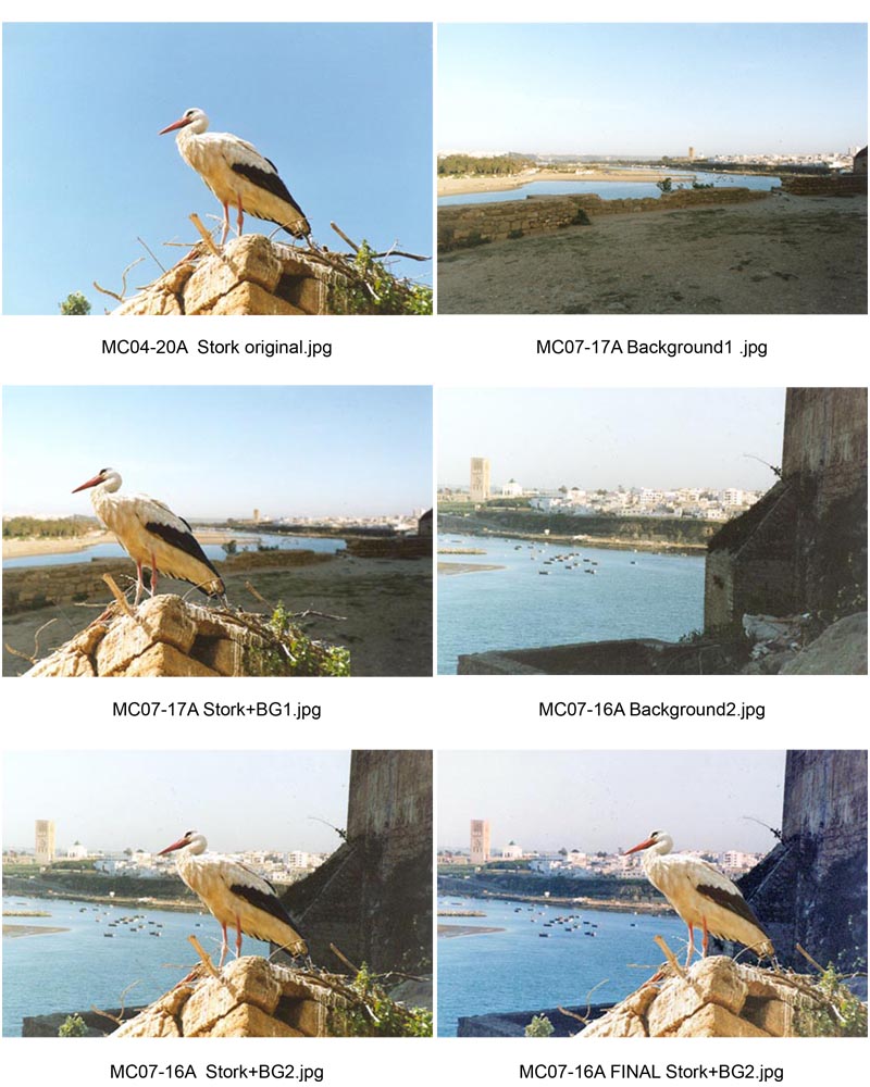 ContactSheet-03 (153K)