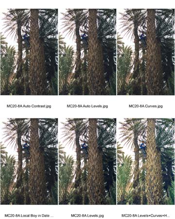 02-Exercise02-manipulations-DatePalm