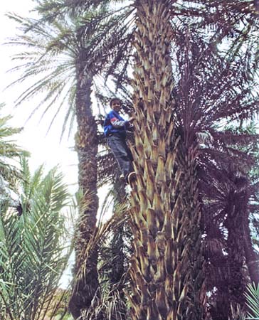 03-exercise02-manipulations-revised