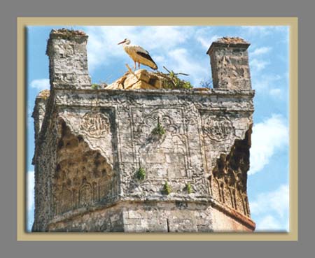 05-Exercise03-selections-revised