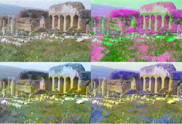 raup06blends72dpi (426K)