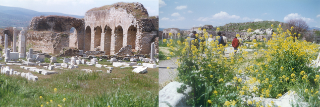 raup06originals72dpi (204K)