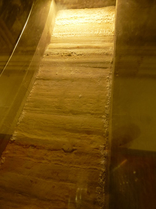 P1110120