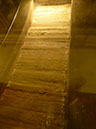 P1110120